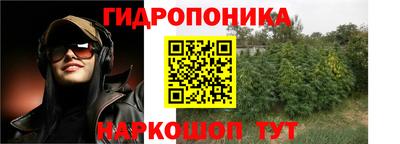 мяу мяу мука Кулебаки