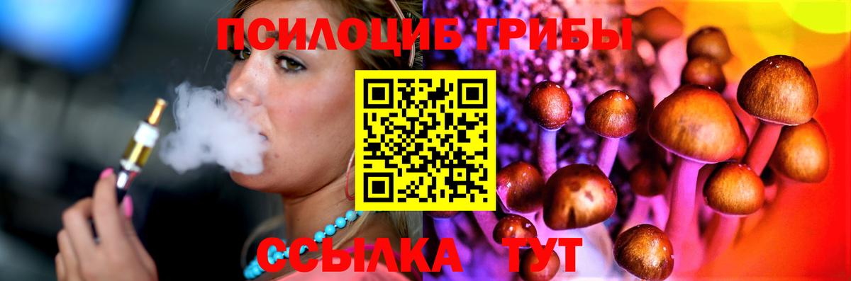Галлюциногенные грибы мицелий  Псилоцибиновые грибы Psilocybine cubensis  Зеленодольск  Вход с VPN 