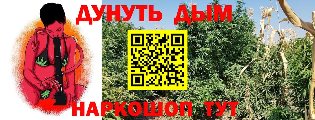 Каннабис семена  Вход с VPN  Зеленодольск  Бошки марихуана LSD WEED 